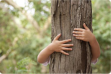 child hugging tree